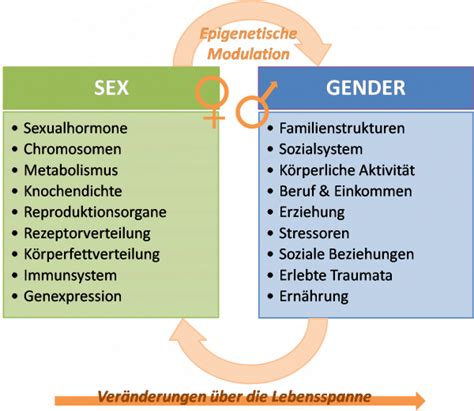 Mobiles Geschlecht nach Kategorien